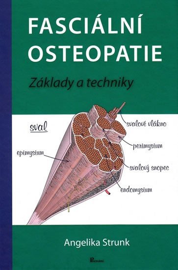 Levně Fasciální osteopatie - Angelika Stunk