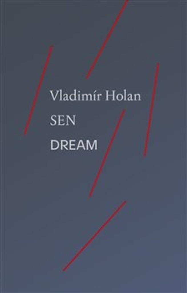 Levně Sen / Dream - Vladimír Holáň
