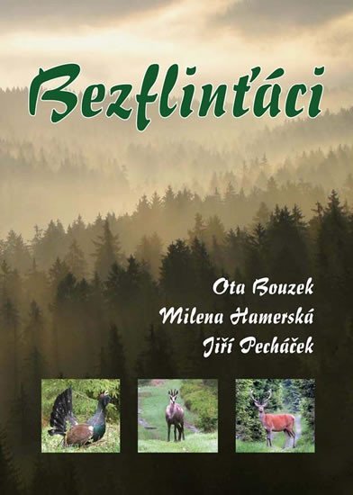 Levně Bezflinťáci - Ota Bouzek