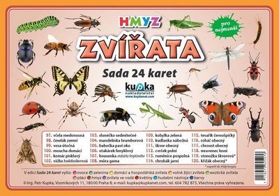 Levně Zvířata hmyz - Sada 24 karet - Petr Kupka