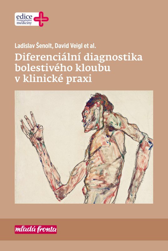 Levně Diferenciální diagnostika bolestivého kloubu v klinické praxi - David Veigl