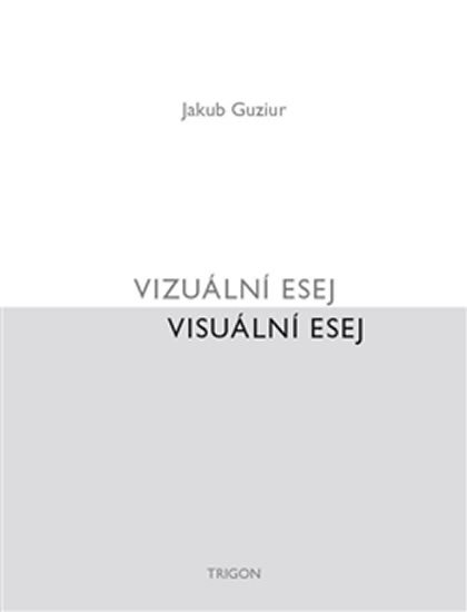 Levně Vizuální esej / Visuální esej - Jakub Guziur