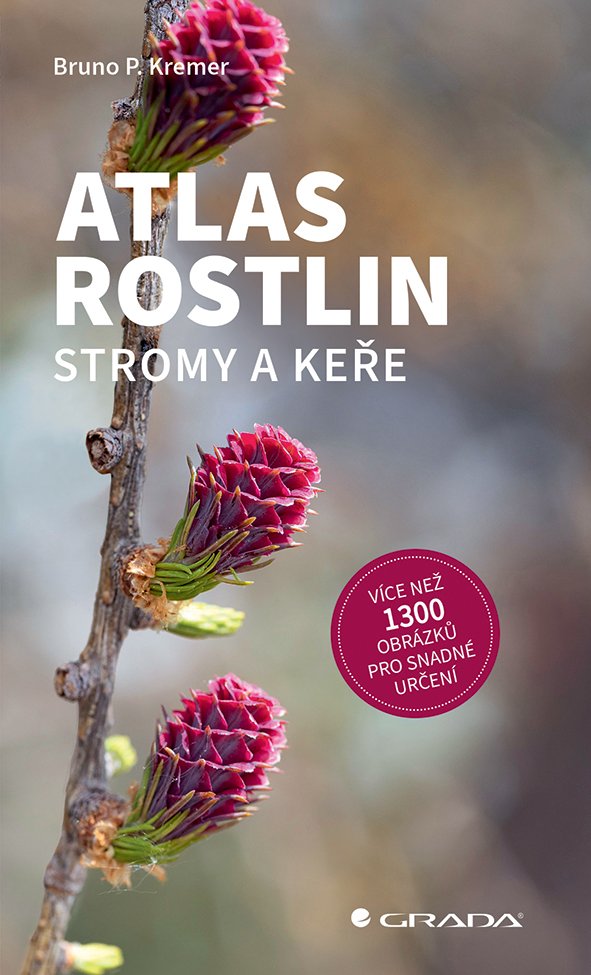 Levně Atlas rostlin - Stromy a keře - Bruno P. Kremer