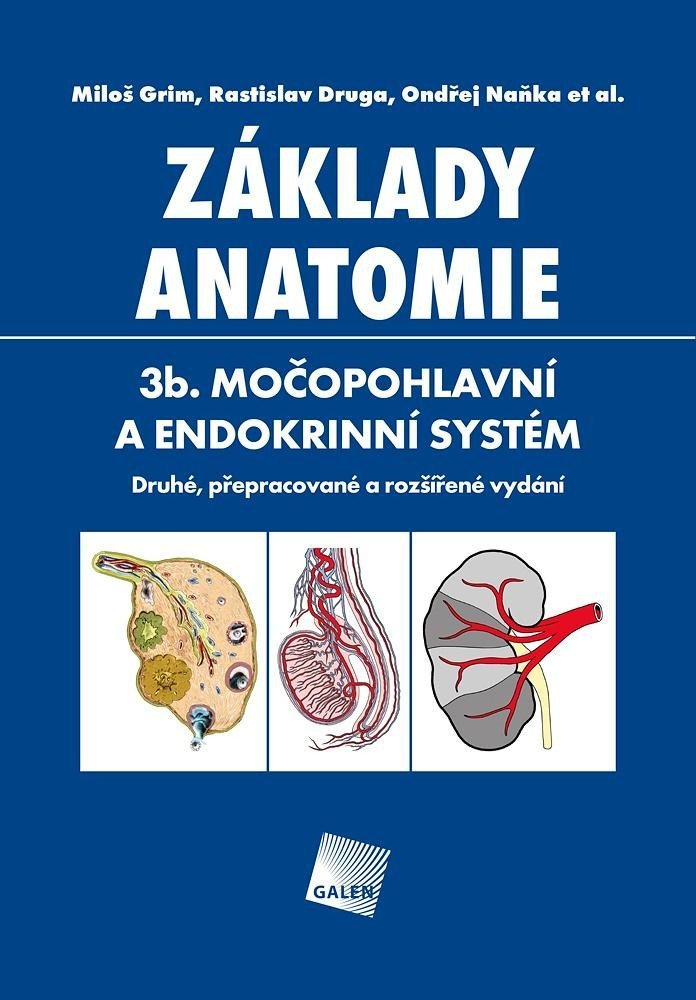 Levně Základy anatomie. 3b - Močopohlavní a endokrinní systém - Rastislav Druga