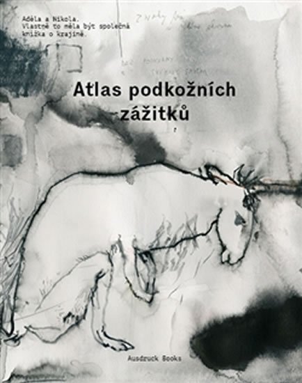 Levně Atlas podkožních zážitků / K problematice viděného - Adéla Součková