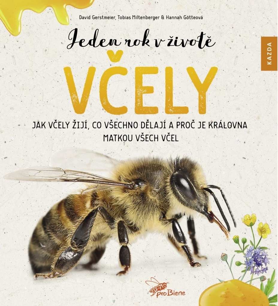 Levně Jeden rok v životě včely - Jak včely žijí, co všechno dělají a proč je královna matkou všech včel - David Gerstmeier