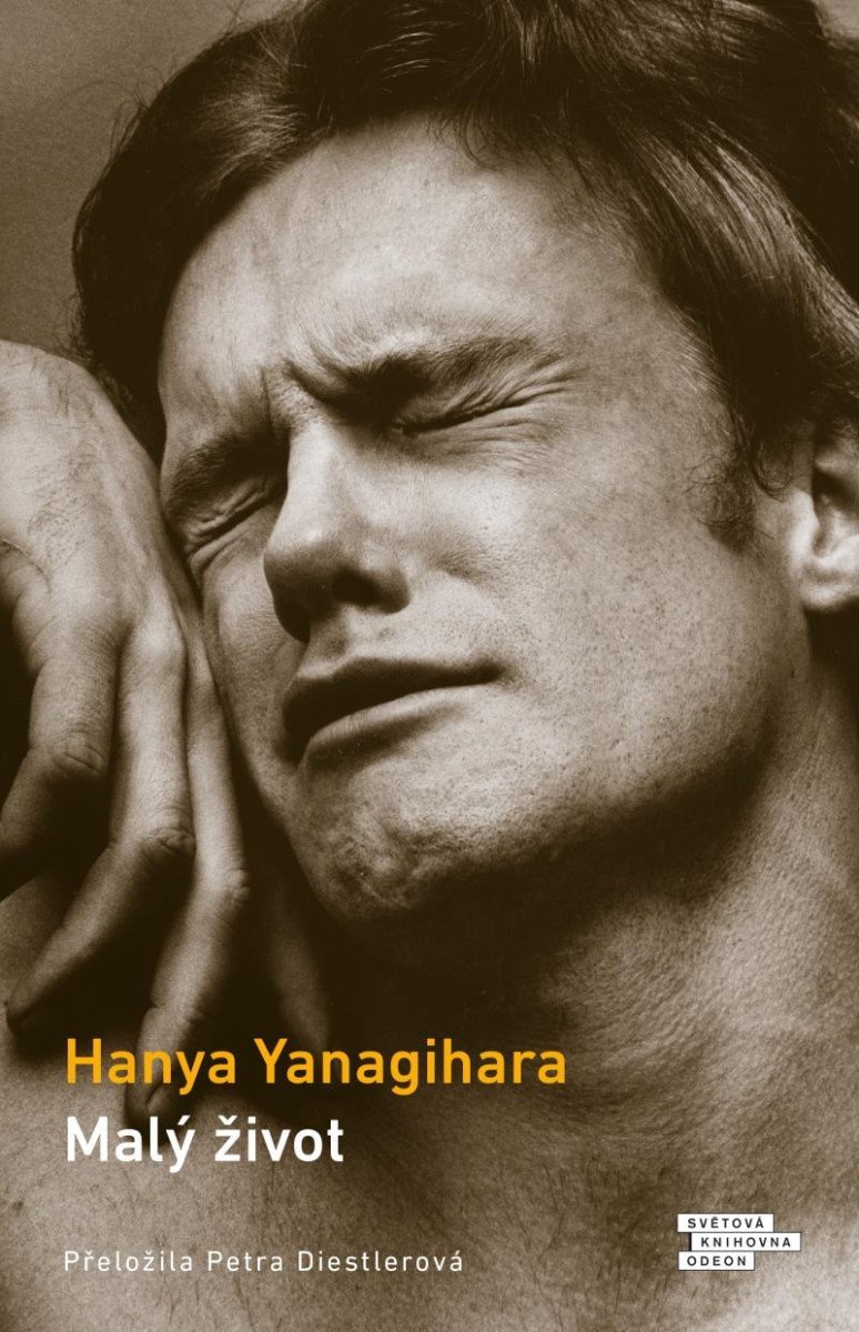 Levně Malý život, 2. vydání - Hanya Yanagihara