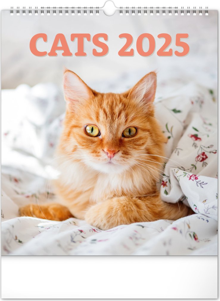 Levně Kalendář 2025 nástěnný: Kočky, 30 × 34 cm