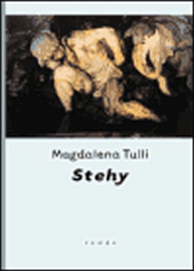 Levně Stehy - Magdalena Tulli