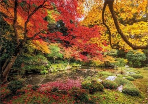 Levně Clementoni Puzzle - Podzimní krajina 1500 dílků