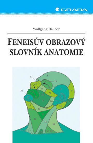 Levně Feneisův obrazový slovník anatomie -9.vy - Wolfgang Dauber