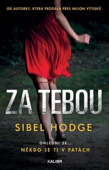 Levně Za tebou - Sibel Hodge