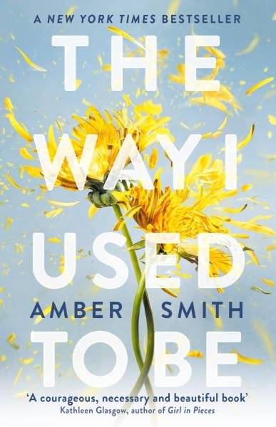 Levně The Way I Used to Be - Amber Smith
