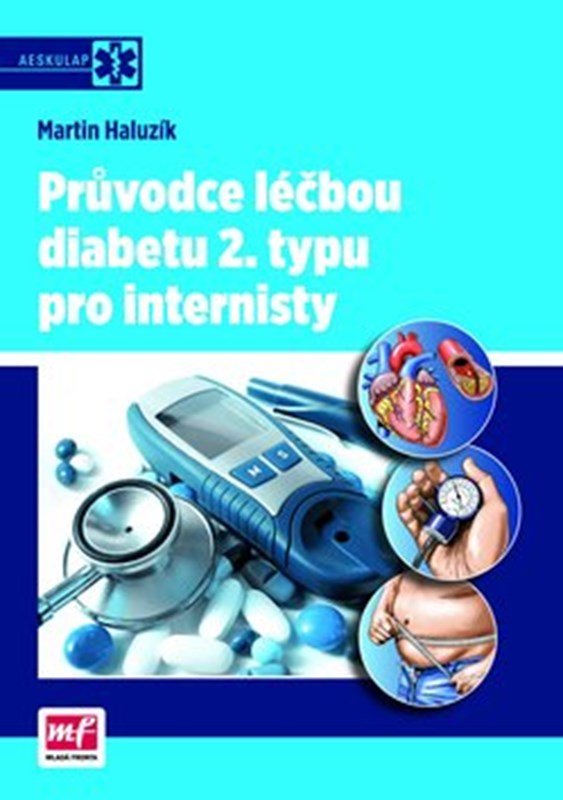 Levně Průvodce léčbou diabetu 2. typu pro internisty - Martin Haluzík