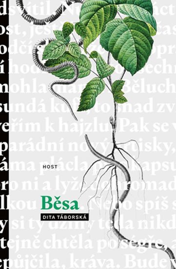 Levně Běsa, 1. vydání - Dita Táborská