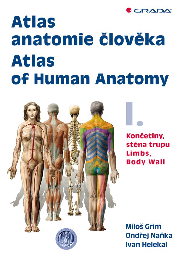 Atlas anatomie člověka I. - Končetiny, stěna trupu / Atlas of Human Anatomy I. - Limbs, Body Wall - Miloš Grim