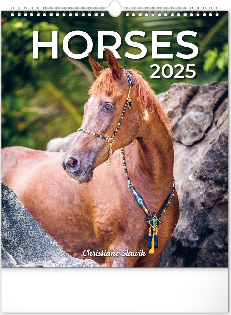 Levně Kalendář 2025 nástěnný: Koně, 30 × 34 cm