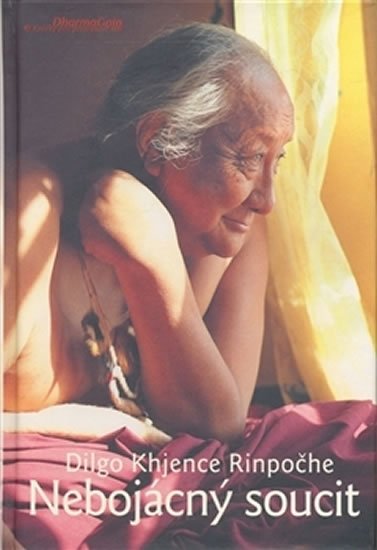 Levně Nebojácný soucit - Vysvětlení Atíšova Sedmibodového výcviku mysli - Dilgo Khjence Rinpočhe