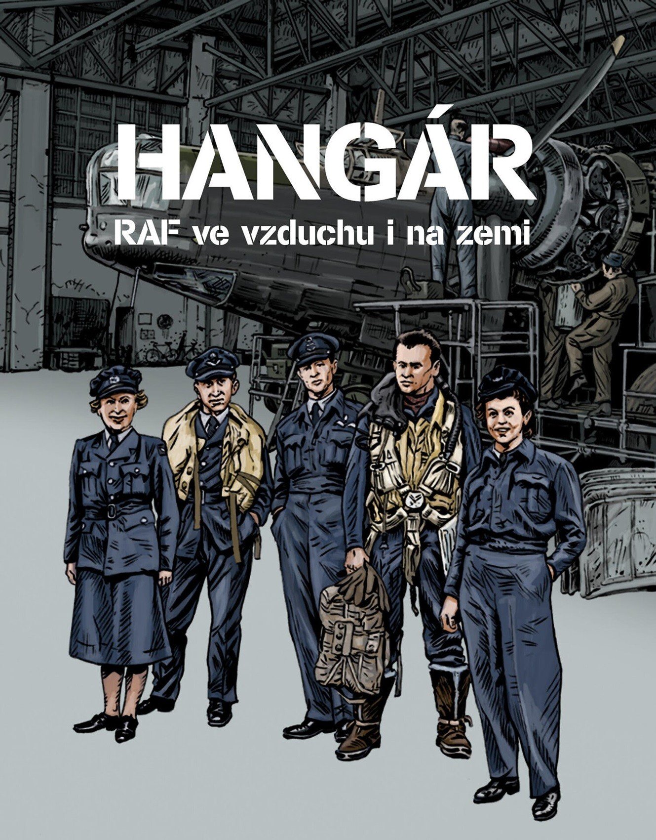 Levně Hangár - RAF ve vzduchu i na zemi - různí