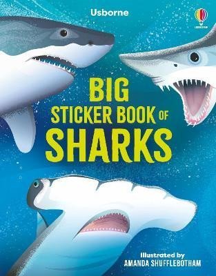 Levně Big Sticker Book of Sharks - Alice James