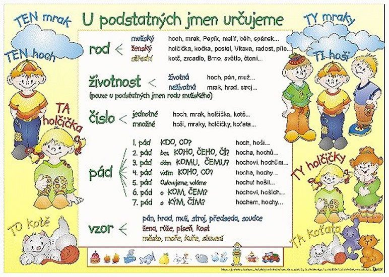 Levně U podstatných jmen určujeme / Výjimky u podstatných jmen (karta)