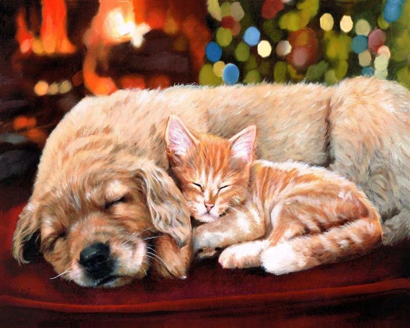 Levně Malování podle čísel - Pejsek a kočička 40 x 50 cm (bez rámu)