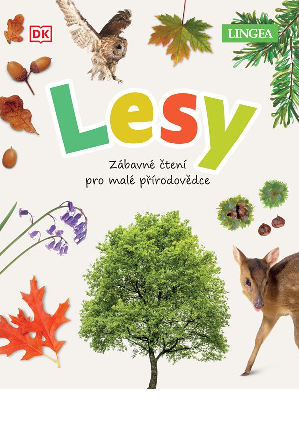 Levně Lesy - Zábavné čtení pro malé přírodovědce - Jamie Ambroseová
