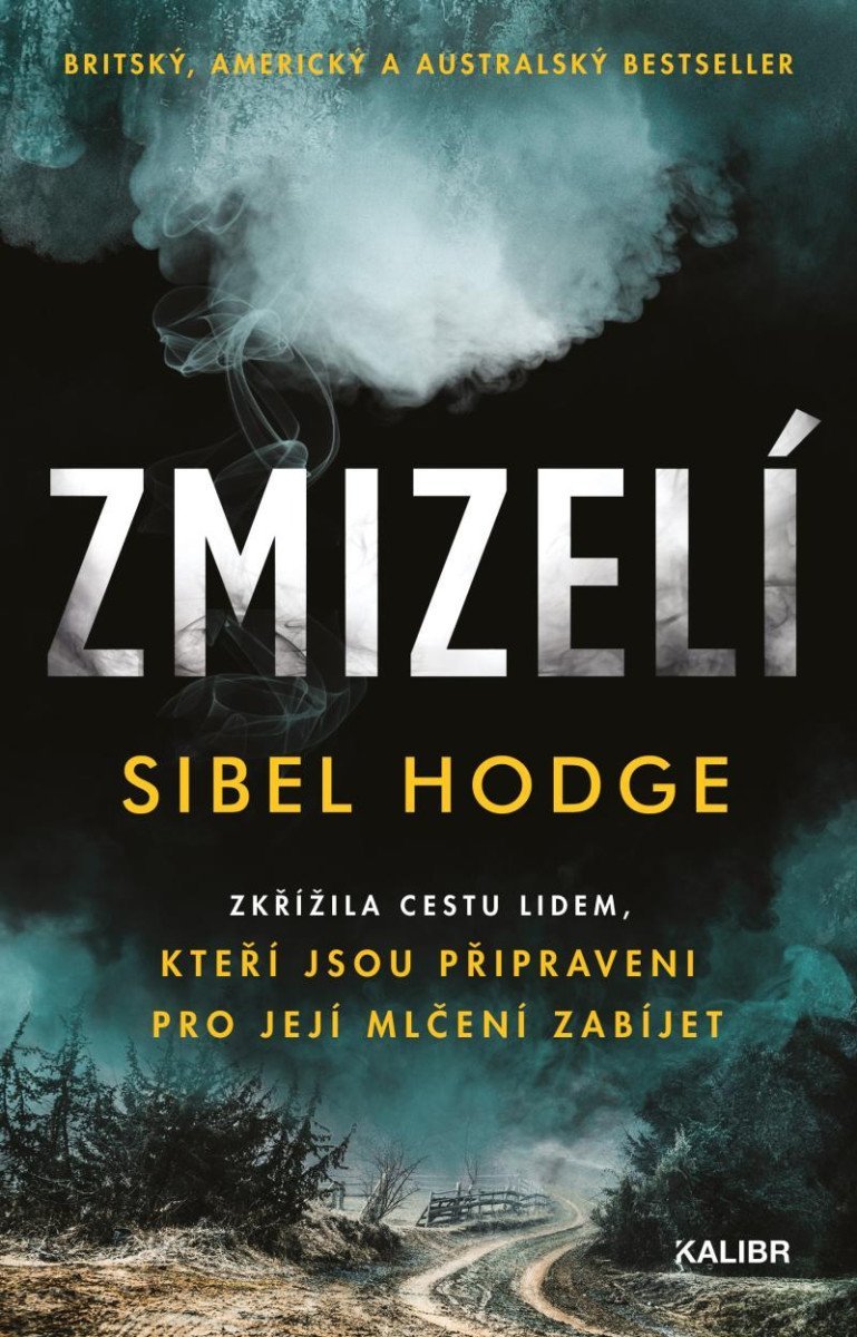 Levně Zmizelí - Sibel Hodge