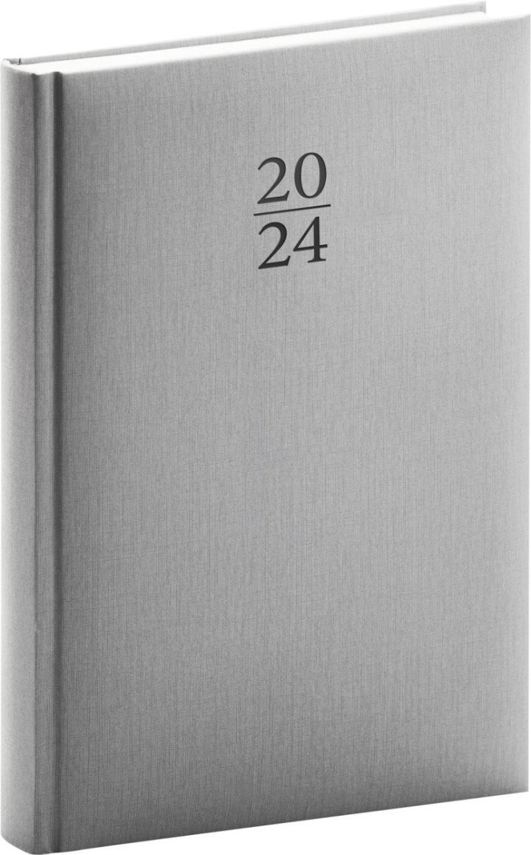 Levně Diář 2024: Capys - stříbrný, denní, 15 × 21 cm