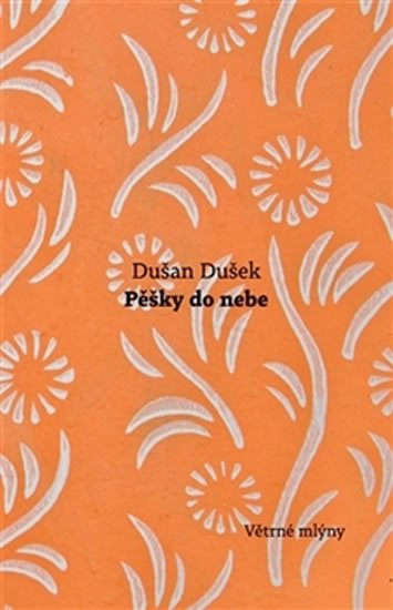 Levně Pěšky do nebe - Dušan Dušek