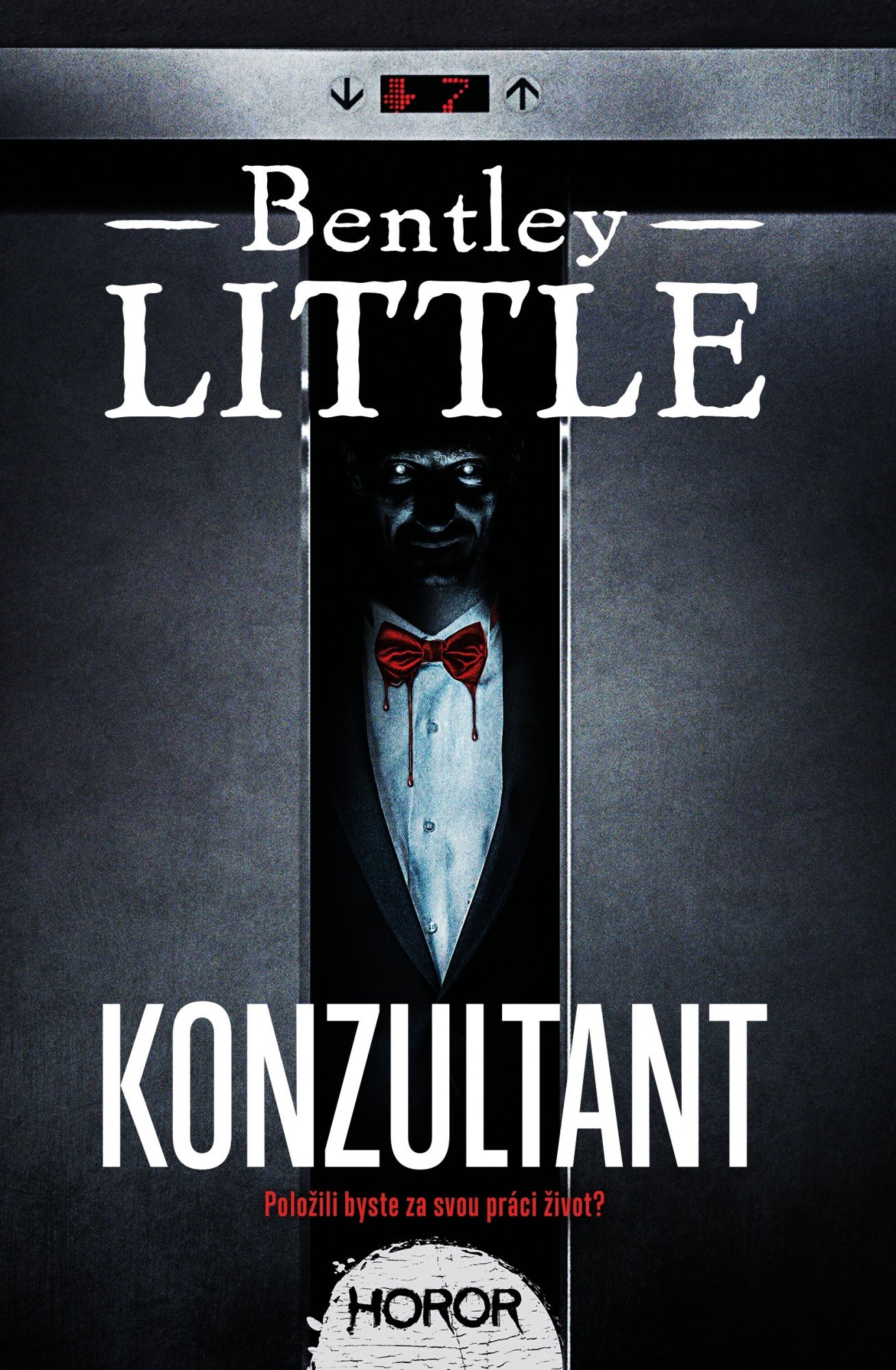 Levně Konzultant - Bentley Little