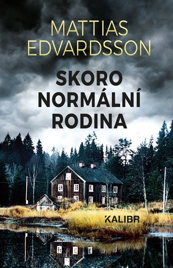 Levně Skoro normální rodina - Mattias Edvardsson