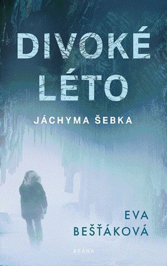 Levně Divoké léto Jáchyma Šebka - Eva Bešťáková