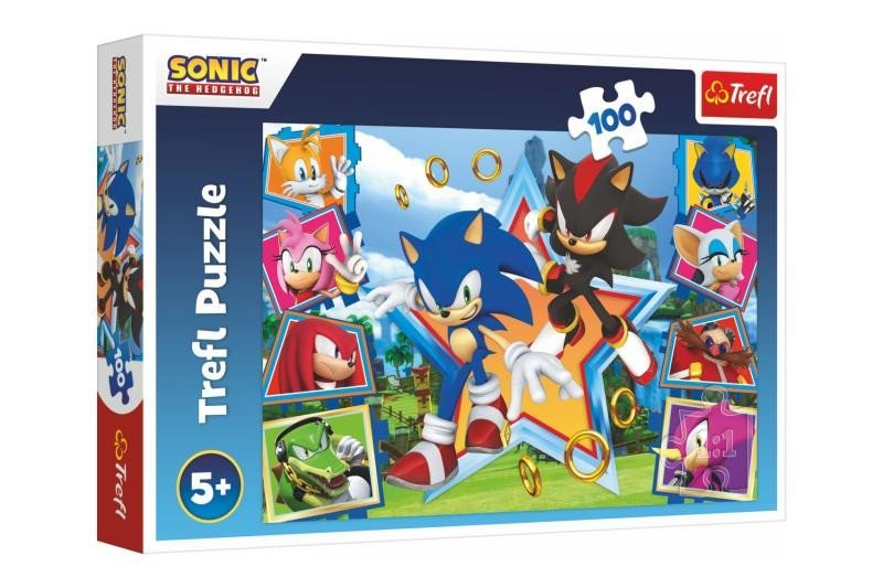 Levně Puzzle Sonic: Seznamte se s ježkem 100 dílků