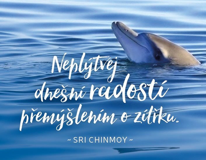 Magnet na lednici - Neplýtvej dnešní radostí přemýšlením o zítřku - Sri Chinmoy