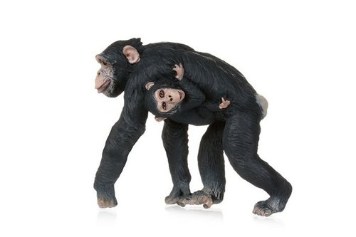 Levně Šimpanz s mládětem na břiše