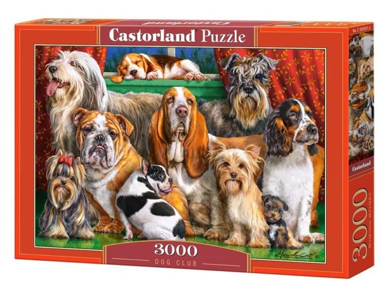 Castorland Puzzle - Psí klub 3000 dílkú