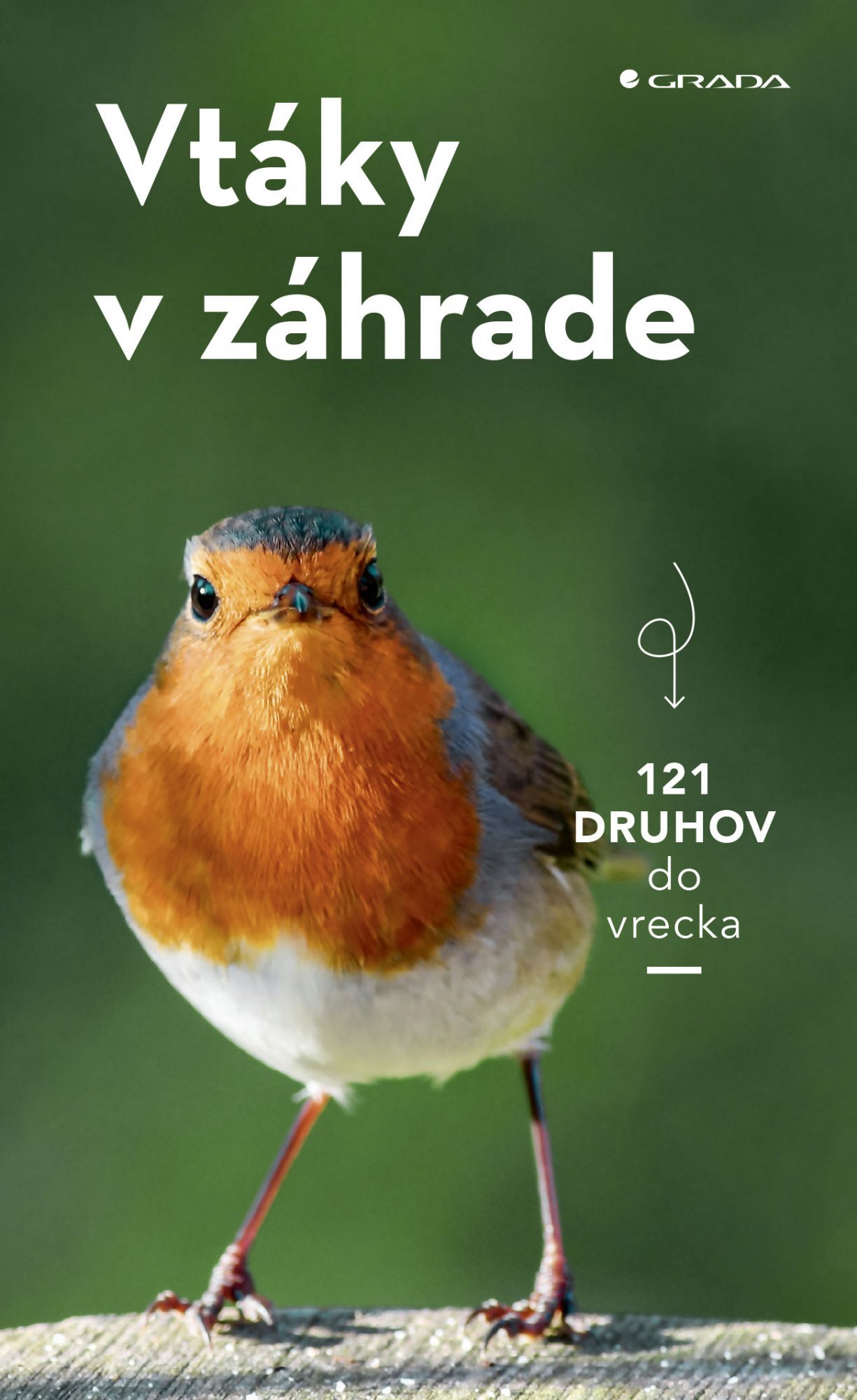 Levně Vtáky v záhrade - Volker Dierschke