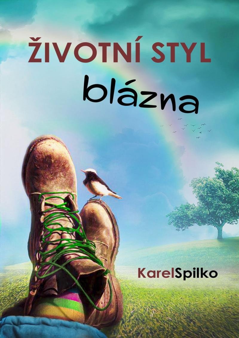 Levně Životní styl blázna - Karel Spilko