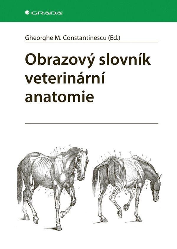 Levně Obrazový slovník veterinární anatomie - M. Gheorghe Constantinescu