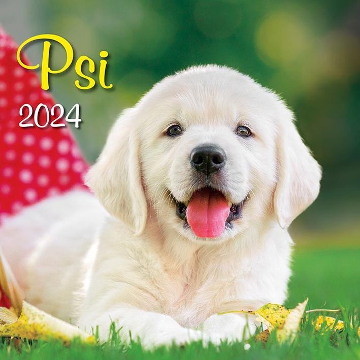 Levně Kalendář 2024 Psi, nástěnný