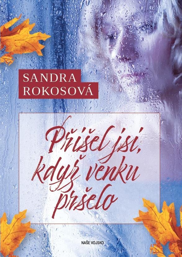 Levně Přišel jsi, když venku pršelo - Sandra Rokosová