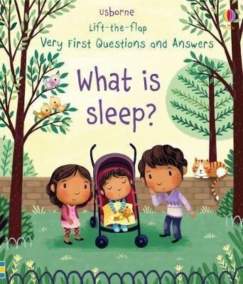 Levně What is Sleep? - Katie Daynes