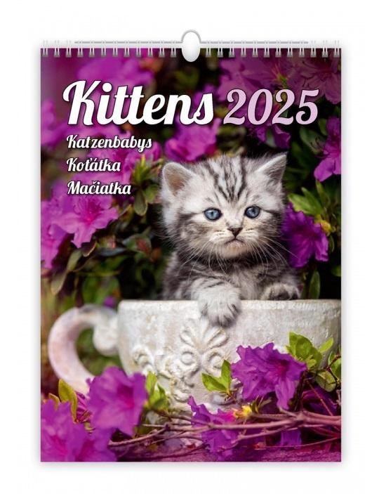 Levně Kalendář nástěnný 2025 - Kittens / Katzenbabys / Koťátka / Mačičky