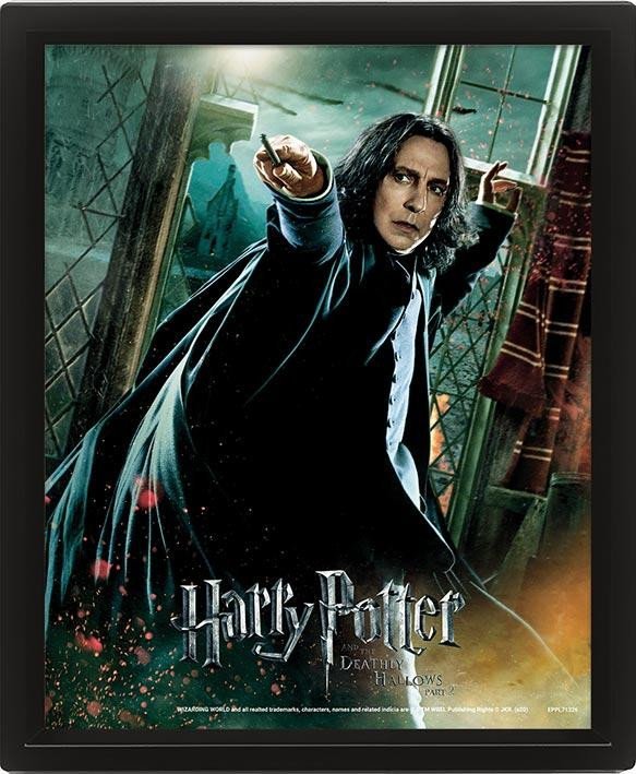 Levně Harry Potter Obraz 3D - Snape - EPEE