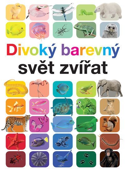 Levně Divoký barevný svět zvířat - Anita Ganeri