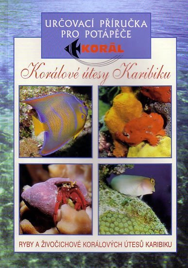 Levně Korálové útesy v karibiku - Určovací příručka pro potapěče - Ryby a živočichové korálových útesů Karibiku - Elizabeth Wood