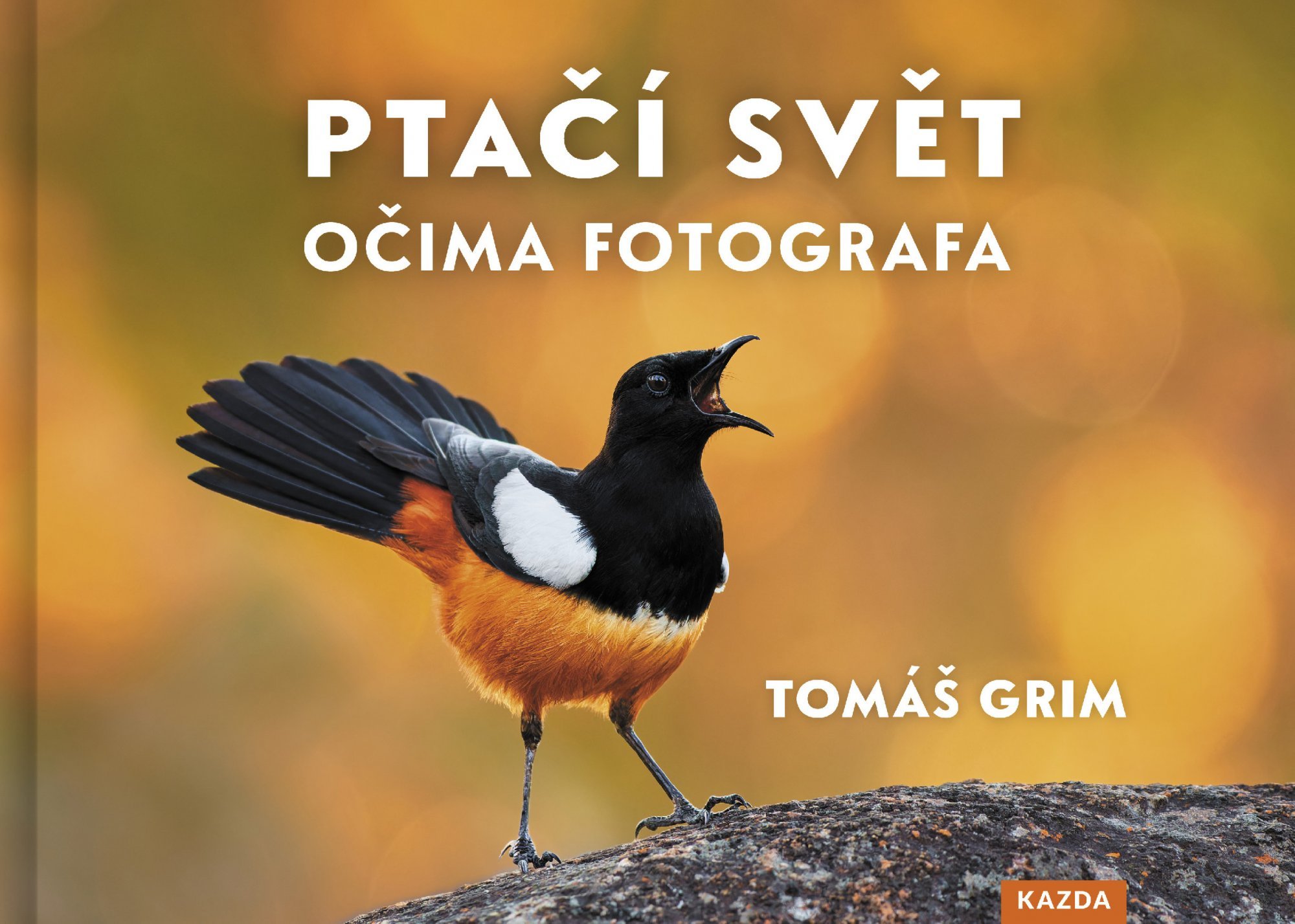 Levně Ptačí svět očima fotografa - Tomáš Grim