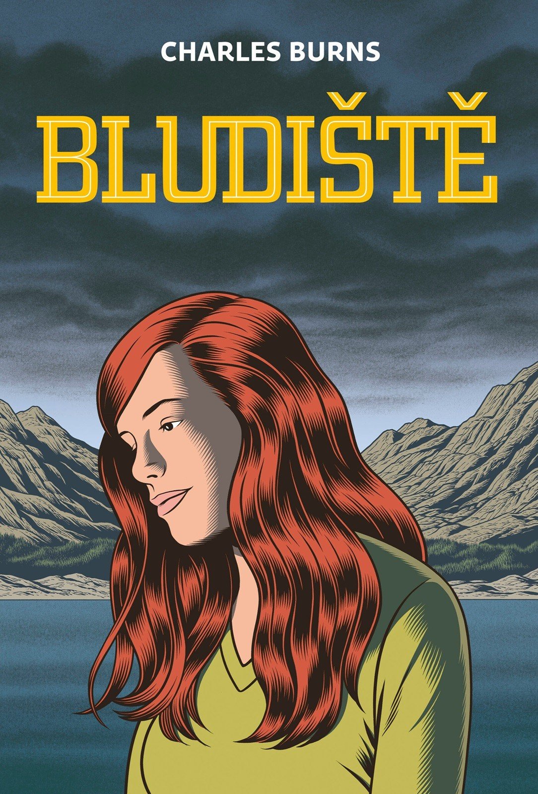 Levně Bludiště 3 - Charles Burns