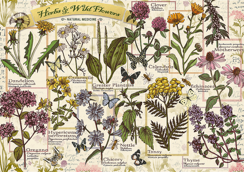 Levně Puzzle Herbarium Léčivé byliny 500 dílků